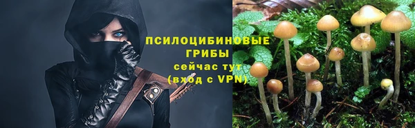 героин Алексин