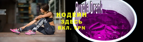 ECSTASY Алзамай