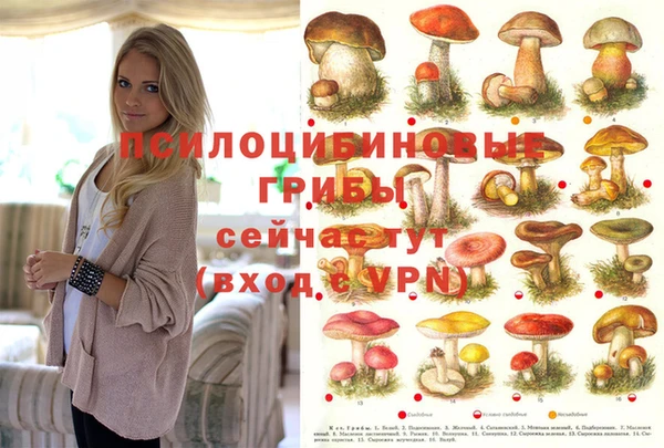 ECSTASY Алзамай