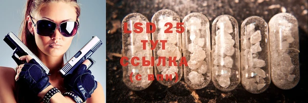 ECSTASY Алзамай