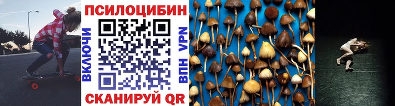 Галлюциногенные грибы Psilocybine cubensis  что такое   Олонец 